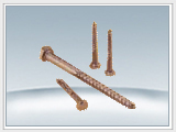 ľ˿HEXAGON HEAD WOOD SCREWS